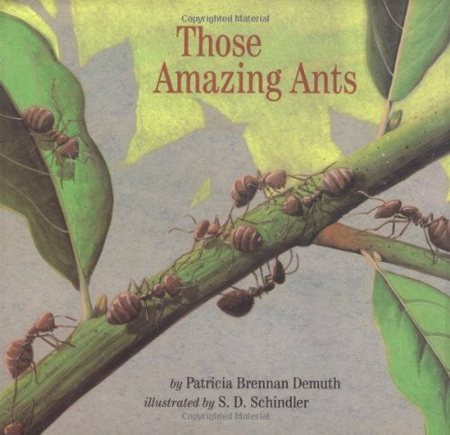 Those Amazing Ants