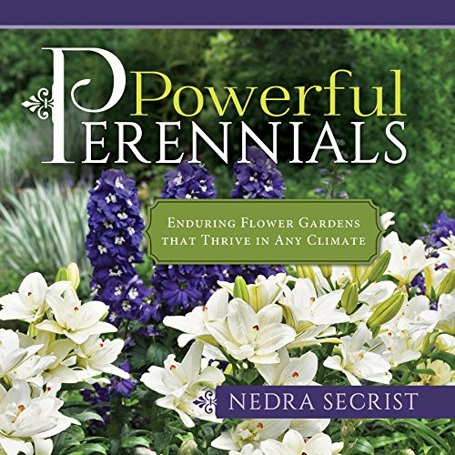 Powerful Perennials: Enduring Flower Gardens That Thrive in Any Climate Powerful Perennials: Enduring Flower Gardens That Thrive in Any Climate