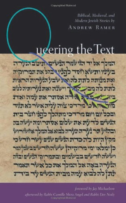Queering the Text: Biblical, Medieval, and Modern Jewish Stories (White Crane Wisdom)