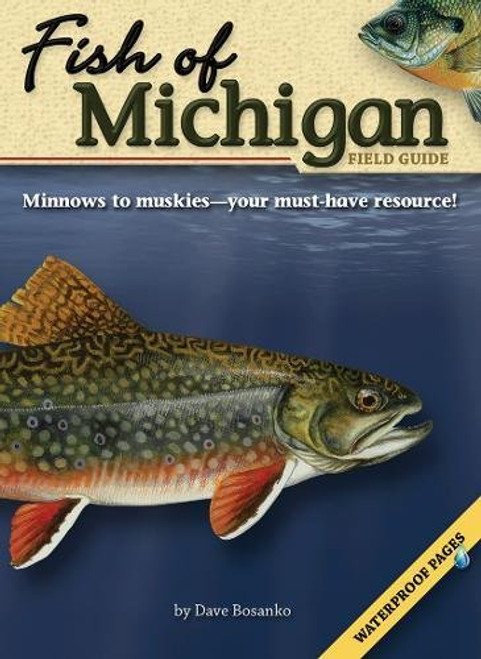 Fish of Michigan Field Guide (Fish Identification Guides)
