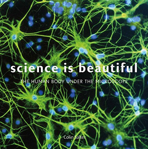 Science Is Beautiful: The Human Body Under the Microscope