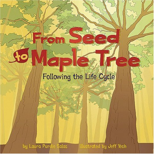 From Seed to Maple Tree: Following the Life Cycle (Amazing Science: Life Cycles)