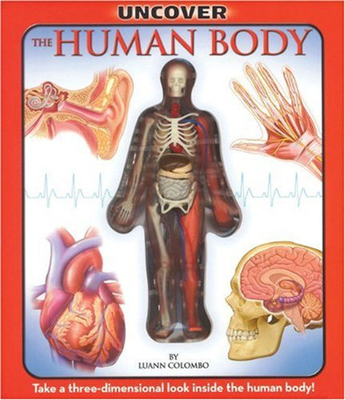 Uncover the Human Body: An Uncover It Book