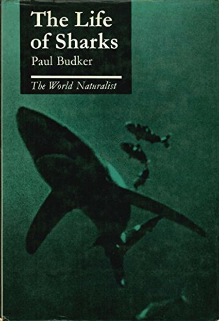 The Life of Sharks