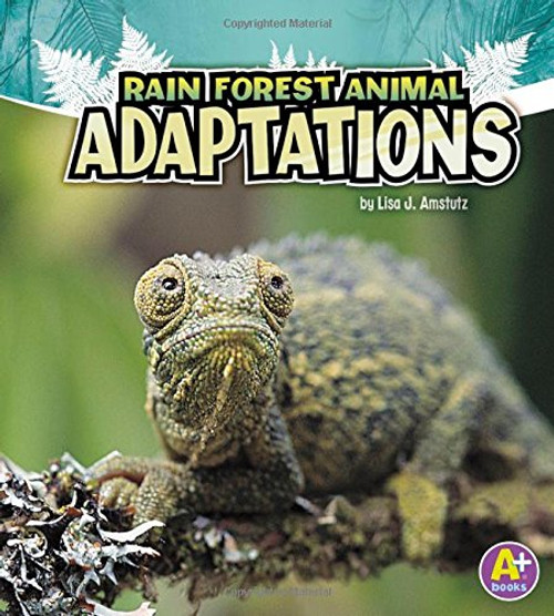 Rain Forest Animal Adaptations (Amazing Animal Adaptations)
