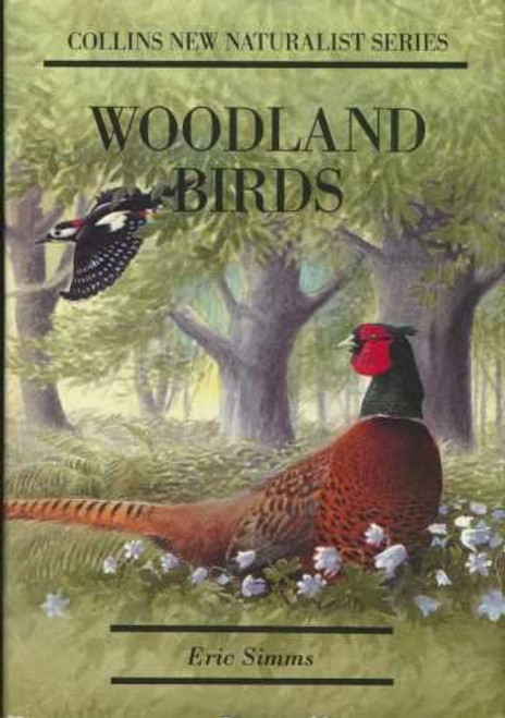 Woodland Birds