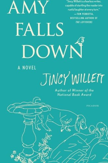 Amy Falls Down: A Novel (Amy Gallup)