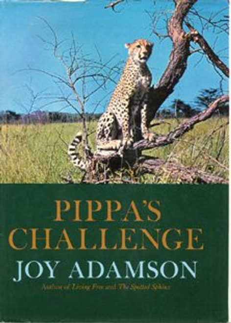 Pippa's Challenge