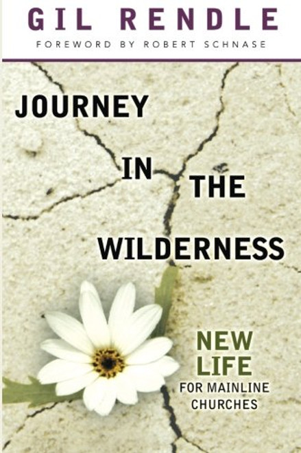 Journey in the Wilderness: New Life for Mainline Churches