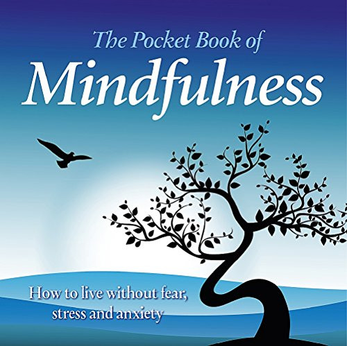 The Pocket Book of Mindfulness