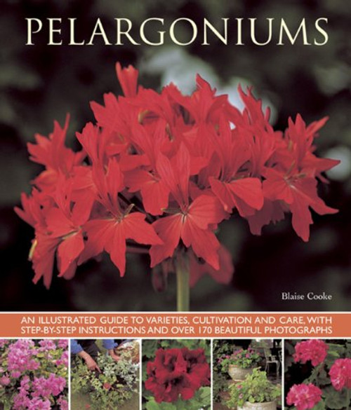 Pelargoniums: An Illustrated Guide to Varieties, Cultivation and Care, With Step-by-Step Instructions and Over 170 Beautiful Photographs