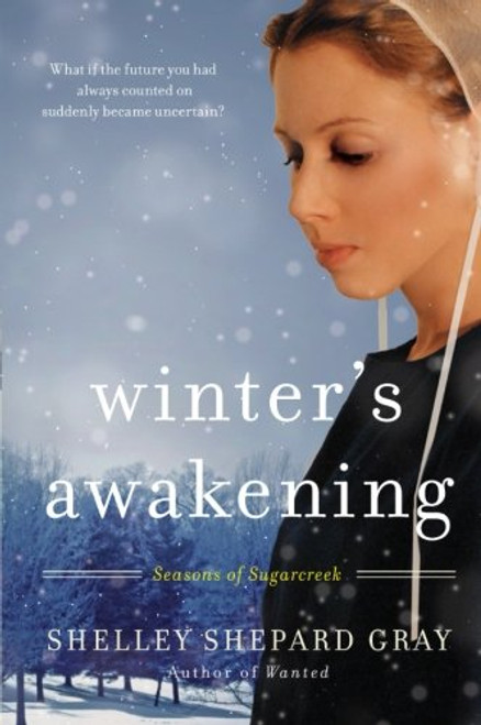 Winter's Awakening: Seasons of Sugarcreek, Book One