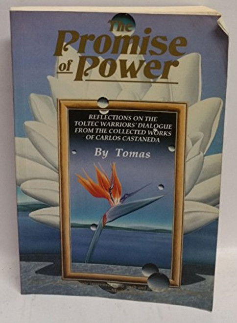 The Promise of Power: Reflections on the Toltec Warriors' Dialogue from the Collected Works of Carlos Castaneda