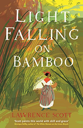 Light Falling on Bamboo