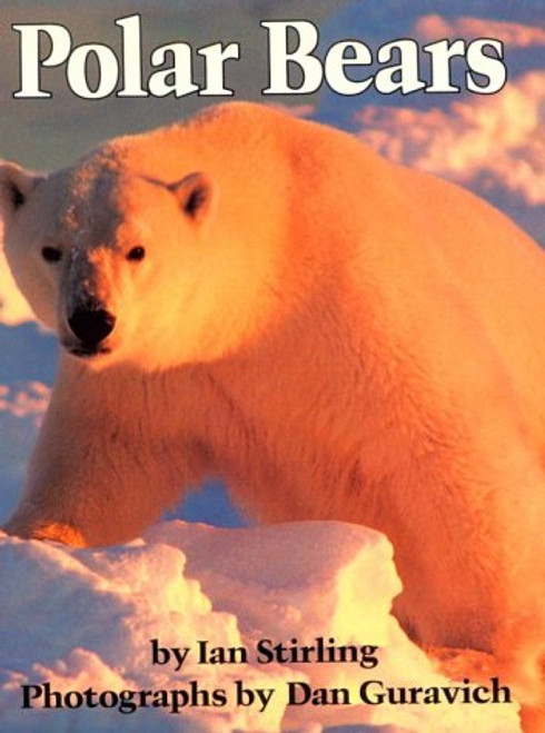 Polar Bears