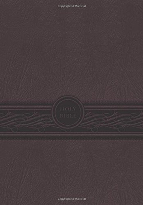 MEV Bible Personal Size Large Print Cherry Brown: Modern English Version