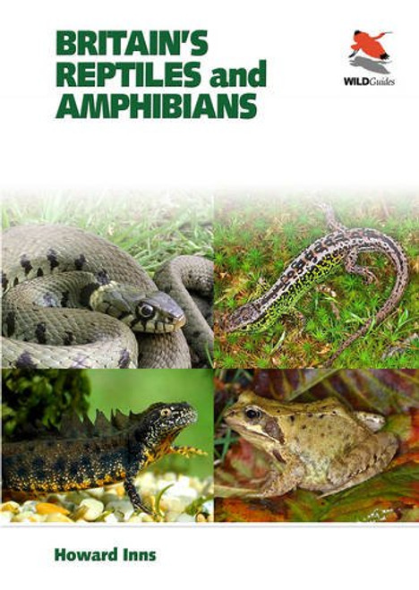 Britain's Reptiles and Amphibians (Princeton University Press (WILDGuides))