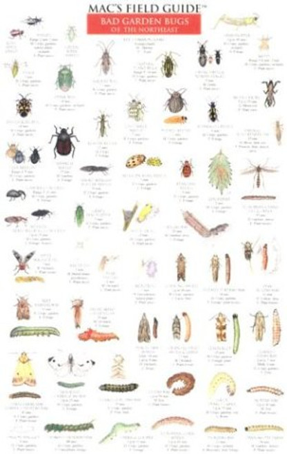 Mac's Field Guide: Bad Garden Bugs of the Northeast/Good Garden Bugs of the Northeast (Mac's Guides (Charts))