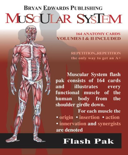 The Muscular System (Flash Paks/Volumes 1 and 2)