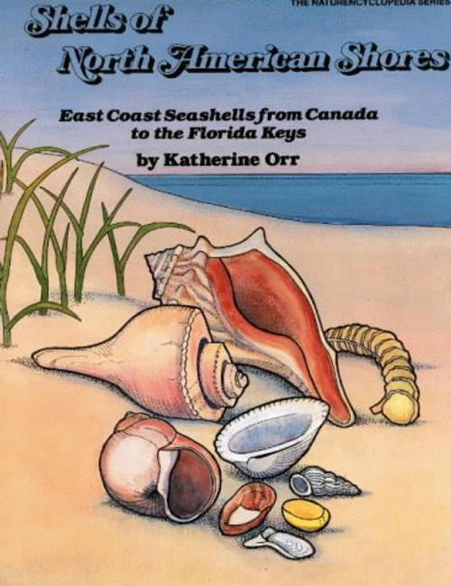 Shells of North American Shores: East Coast Seashells from Canada to the Florida Keys (Naturencyclopedia Library)