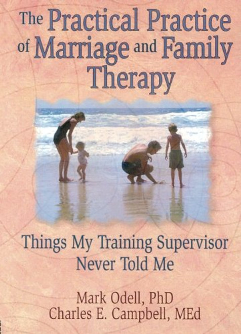 The Practical Practice of Marriage and Family Therapy: Things My Training Supervisor Never Told Me (Haworth Marriage and the Family,)