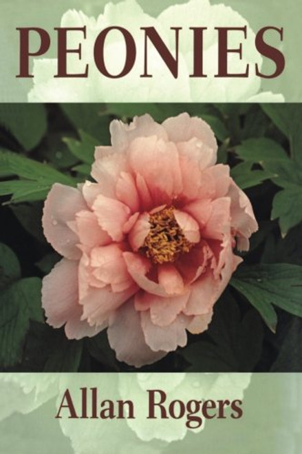 Peonies