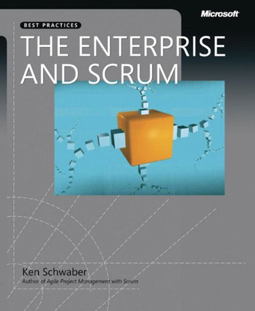 The Enterprise and Scrum (Developer Best Practices)