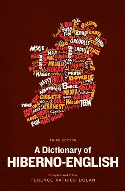 A Dictionary of Hiberno-English (English and Irish Edition)