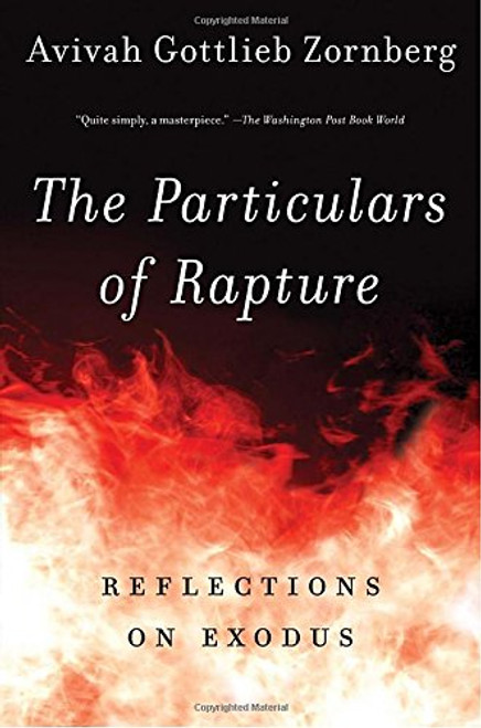 The Particulars of Rapture: Reflections on Exodus
