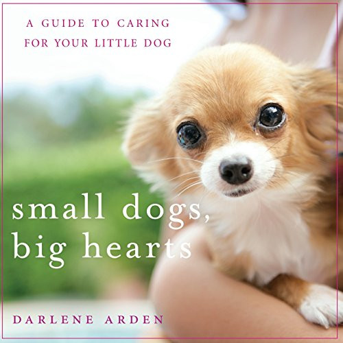 Small Dogs, Big Hearts: A Guide to Caring for Your Little Dog , Revised Edition