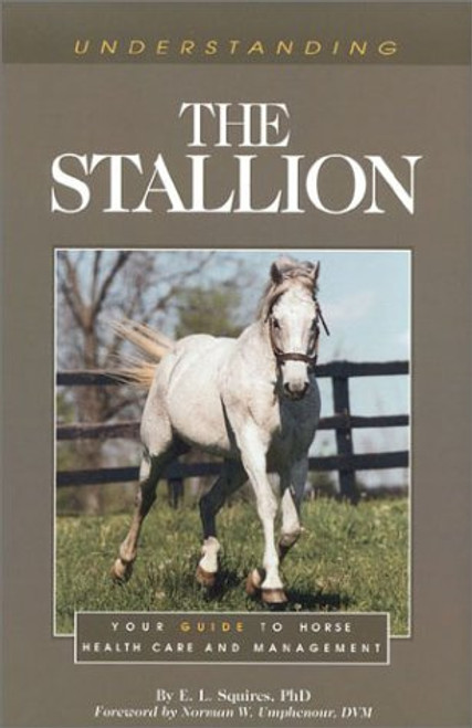 Understanding the Stallion (Understanding Series)