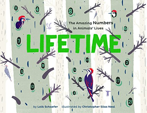 Lifetime: The Amazing Numbers in Animal Lives