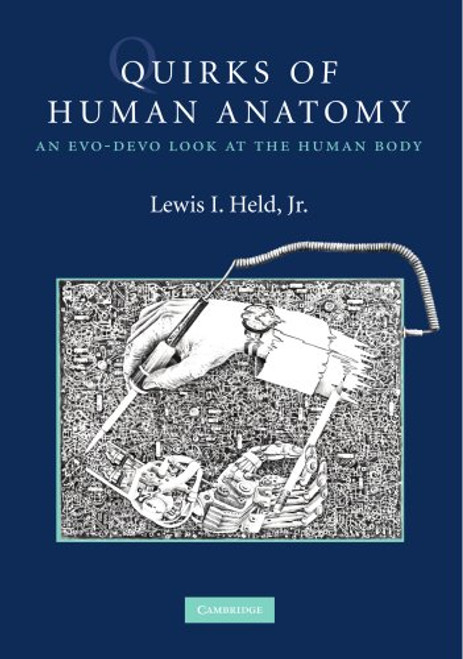 Quirks of Human Anatomy: An Evo-Devo Look at the Human Body