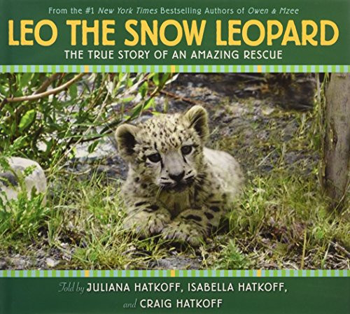 Leo the Snow Leopard