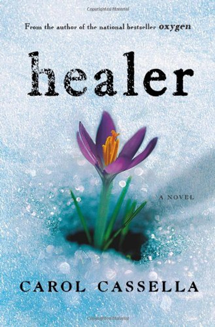 Healer: A Novel