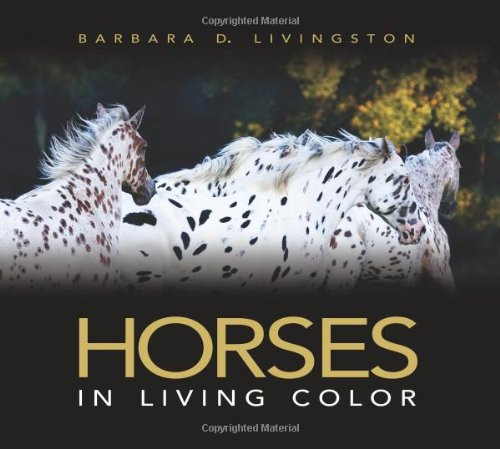 Horses: In Living Color