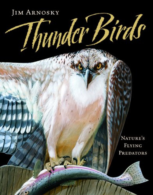 Thunder Birds: Natures Flying Predators
