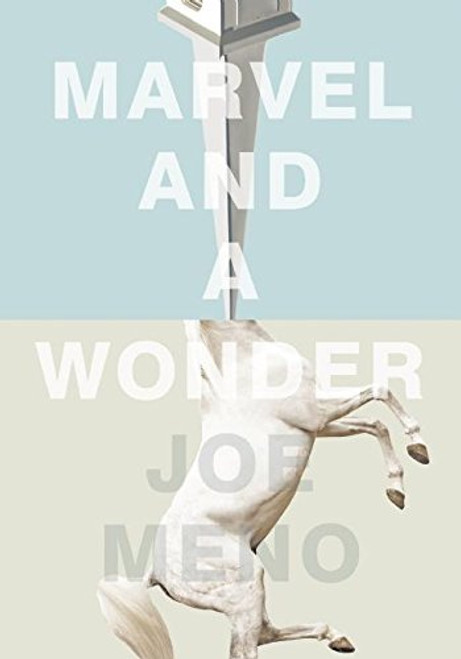 Marvel and a Wonder