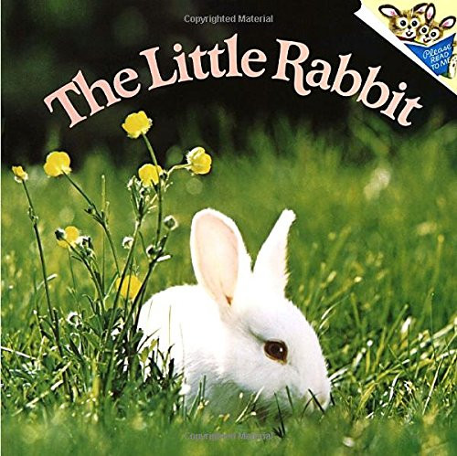 The Little Rabbit