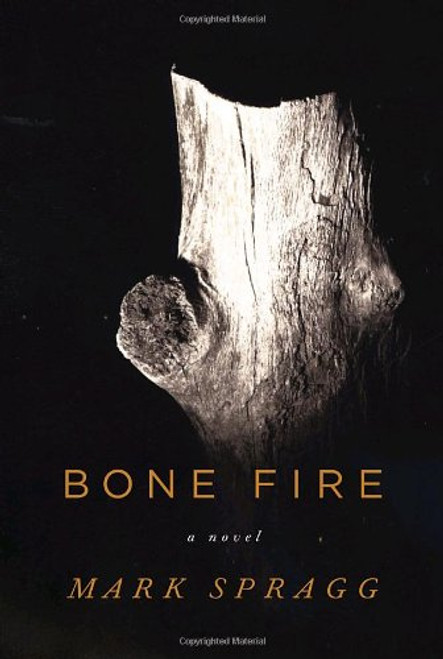 Bone Fire: A novel
