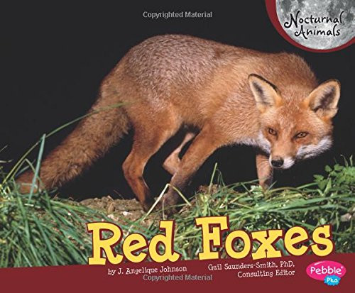 Red Foxes (Nocturnal Animals)