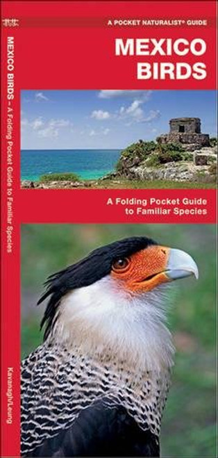 Mexico Birds: A Folding Pocket Guide to Familiar Species (A Pocket Naturalist Guide)