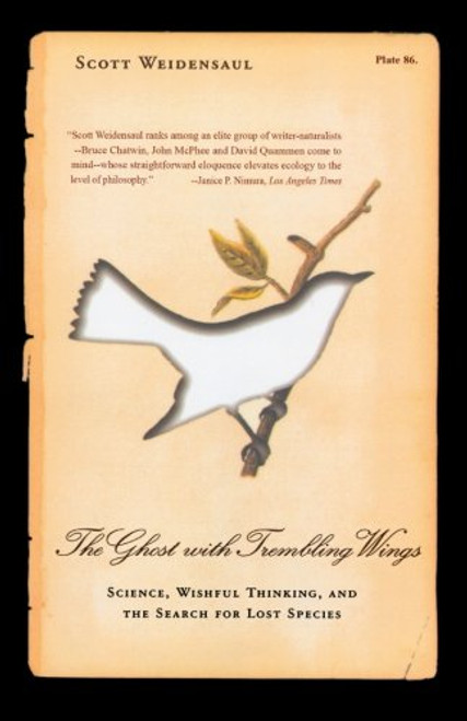 The Ghost with Trembling Wings: Science, Wishful Thinking and the Search for Lost Species