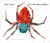 The Very Busy Spider (World of Eric Carle)