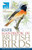 RSPB Handbook of British Birds