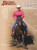 Reining: The Guide for Training & Showing Winning Reining Horses (A Western Horseman Book)