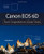 Canon EOS 6D: From Snapshots to Great Shots
