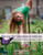 Moving the Classroom Outdoors: Schoolyard-Enhanced Learning in Action