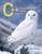 C++ Programming Today (2nd Edition)