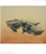 Vitamin D2: New Perspectives in Drawing